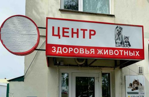 Первичный прием кошек и собак за 10р, кастрация кота за 70р в "Центр Здоровья Животных" в Могилеве